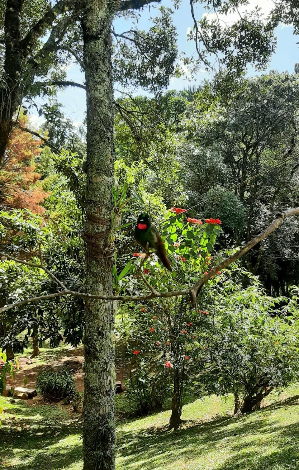 Refugio Do Selado Monte Verde (Minas Gerais)